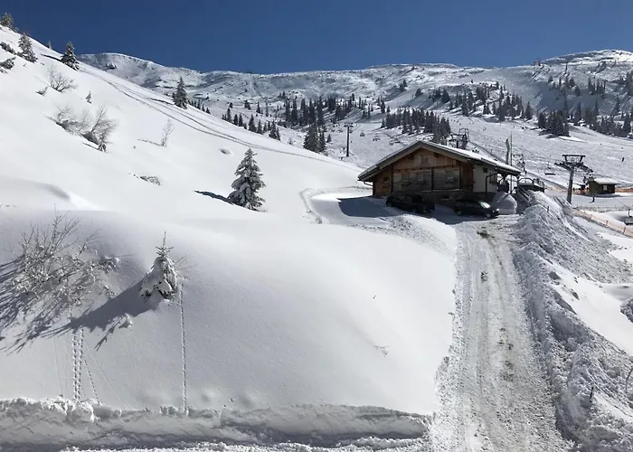 Lägenhetshotell Tauernhaus Planneralm